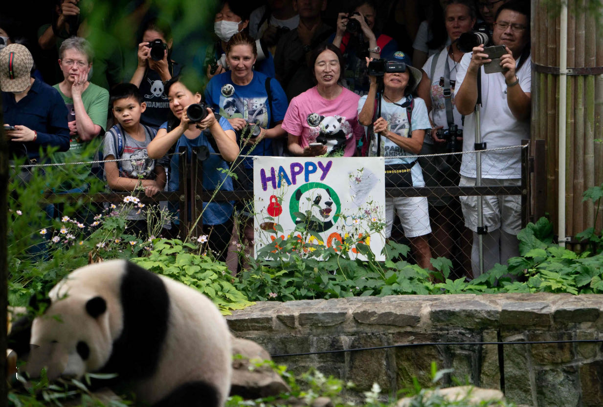 Bamboo Club Led 6 students from La Jolla County Day Schools to visit the Washington Zoo